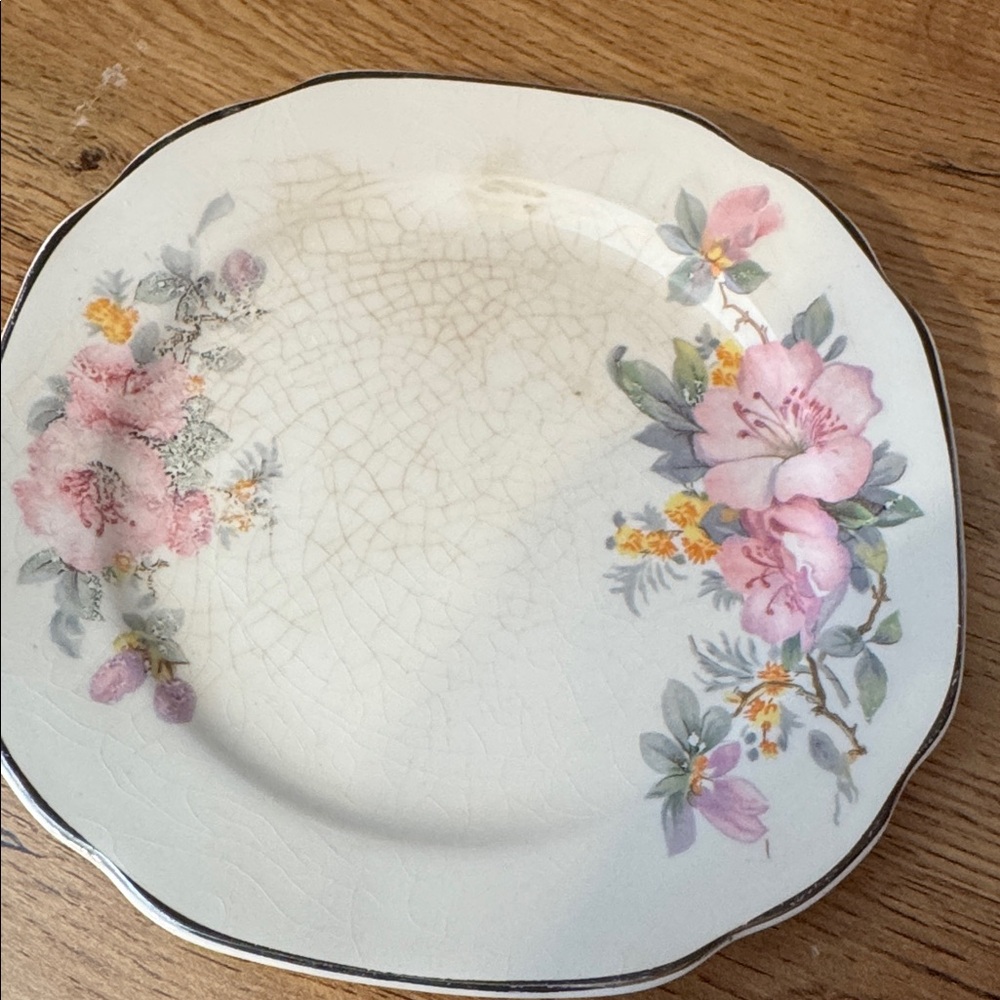 Vintage Crooksville China Plate - Picture 1 of 3
